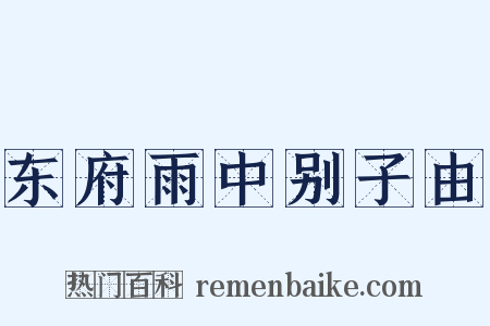 东府雨中别子由是什么意思的图片